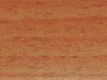 ABS038
